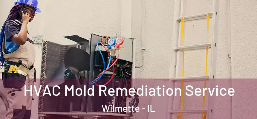 HVAC Mold Remediation Service Wilmette - IL
