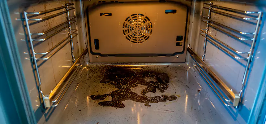 Our Dryer Vent Mold Cleaning Services in Wilmette, IL