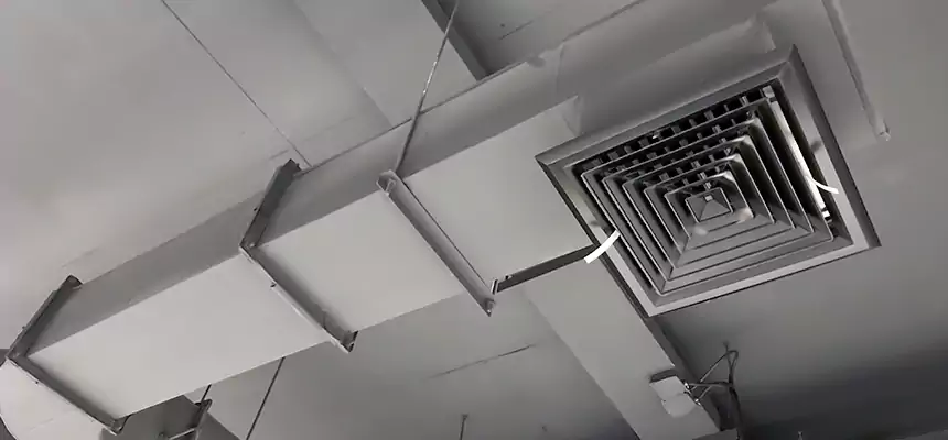 Our Pest Removal From Ducts Services in Wilmette, IL