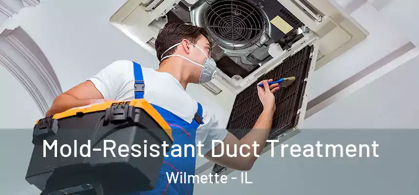 Mold-Resistant Duct Treatment Wilmette - IL