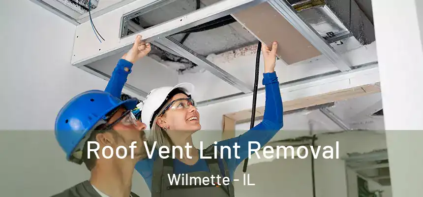 Roof Vent Lint Removal Wilmette - IL