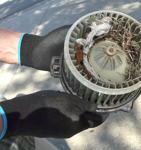 About Air Duct Mice Removal in Wilmette, IL