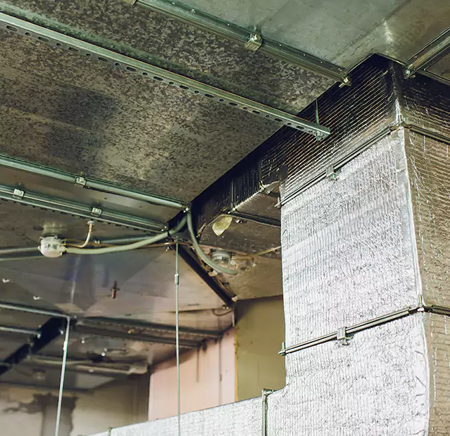 Why Homeowners & Businesses Trust Us in Wilmette, IL?